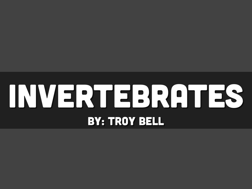 Invertebrates 