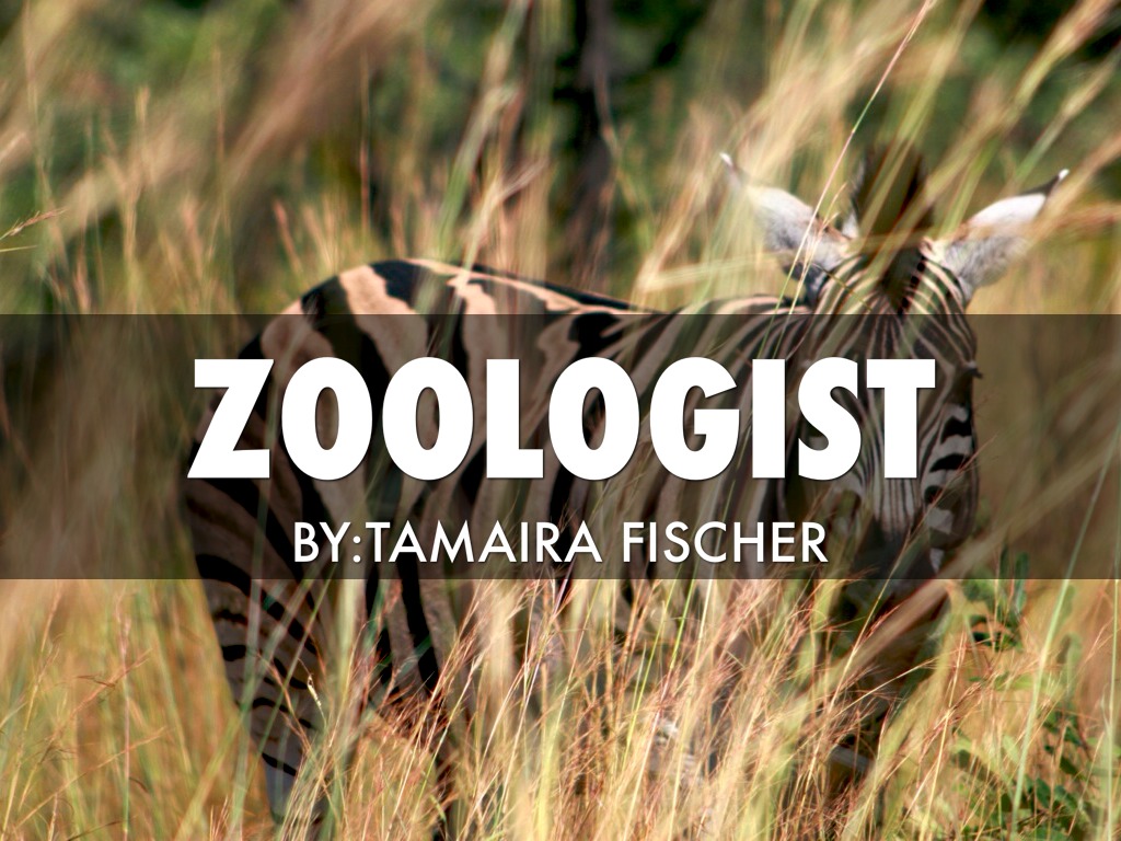 Zoologist By Tamaira Fischer