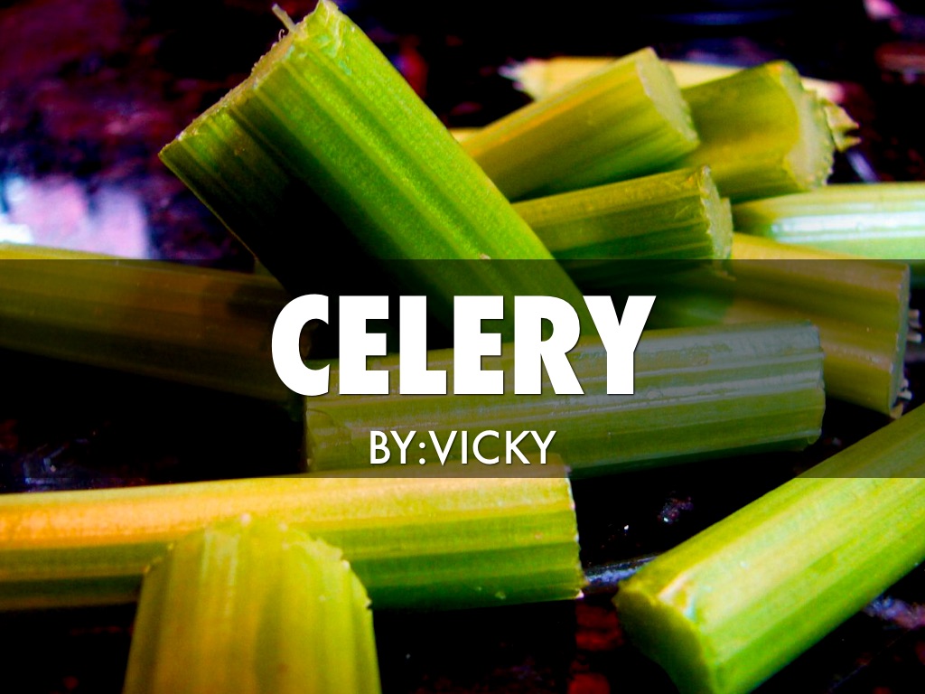 Celery