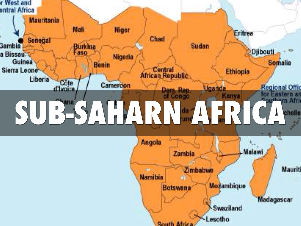 Sub-Saharan Africa 
