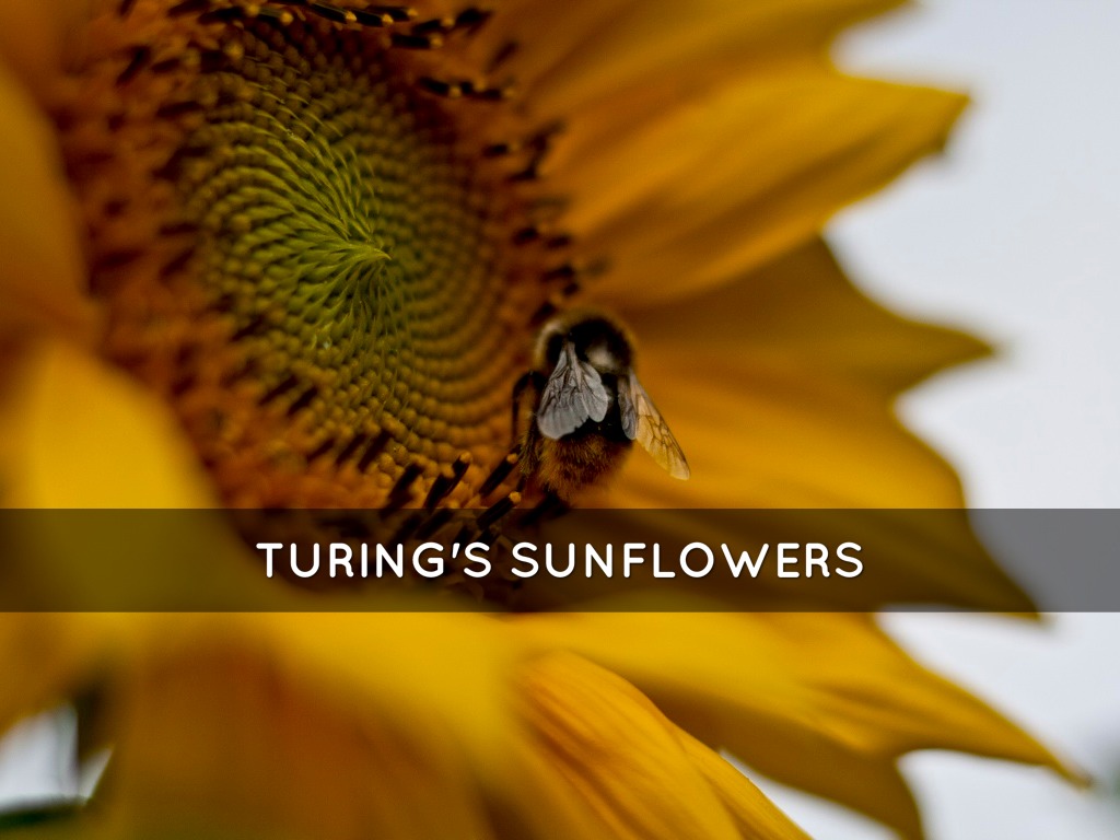 The Catalytic Museum