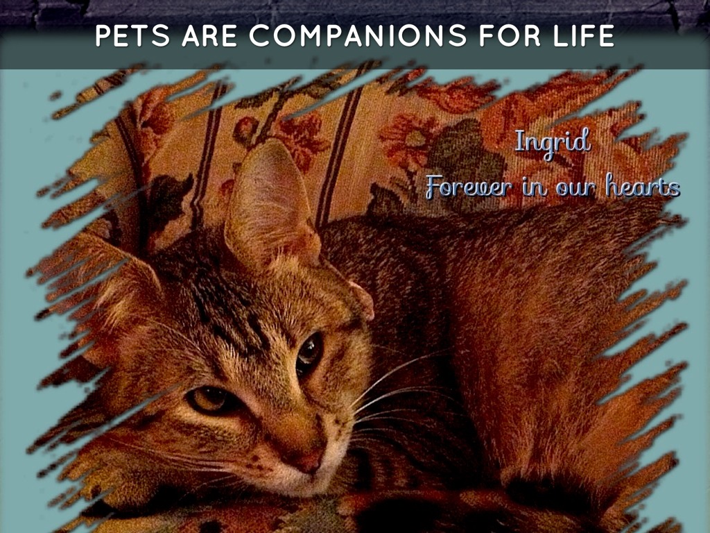 Ingrid Forever In Our Hearts