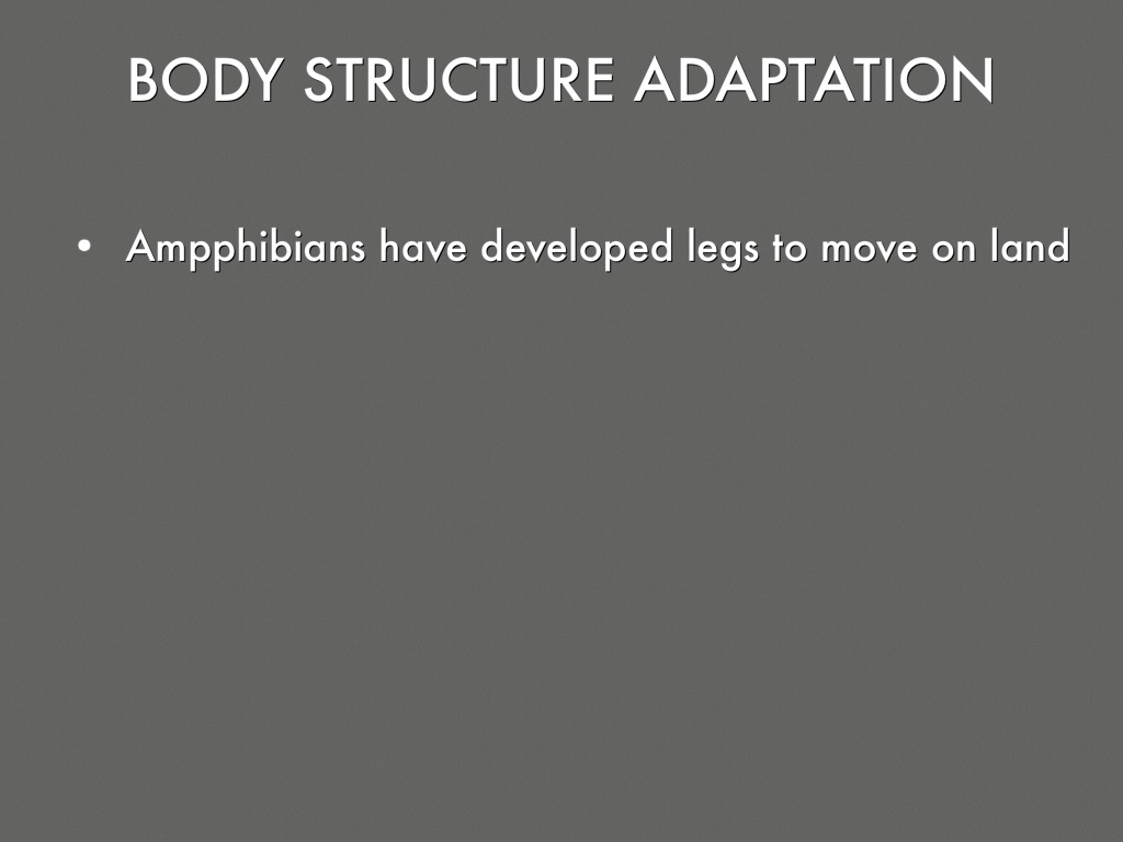 Amphibian Final Project