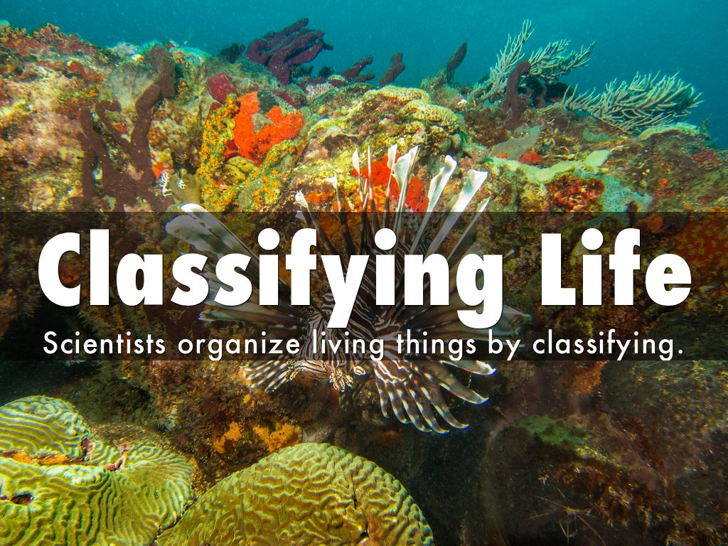 Classifying Life