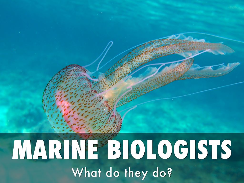 MARINE BIOLOGIST by Bella Bain