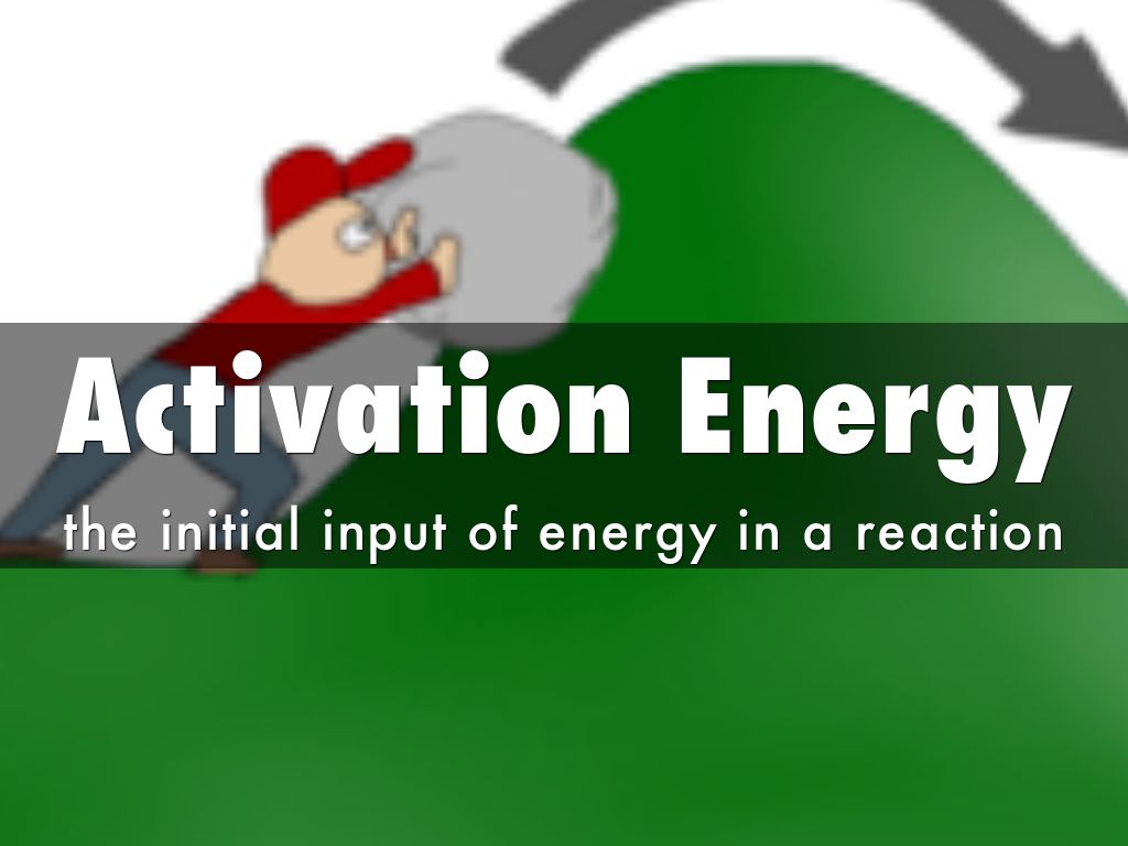 Photosynthesis Vocabulary