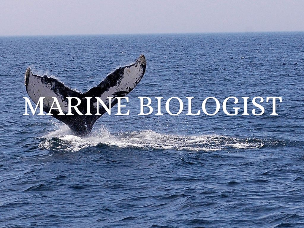 Marine Biology