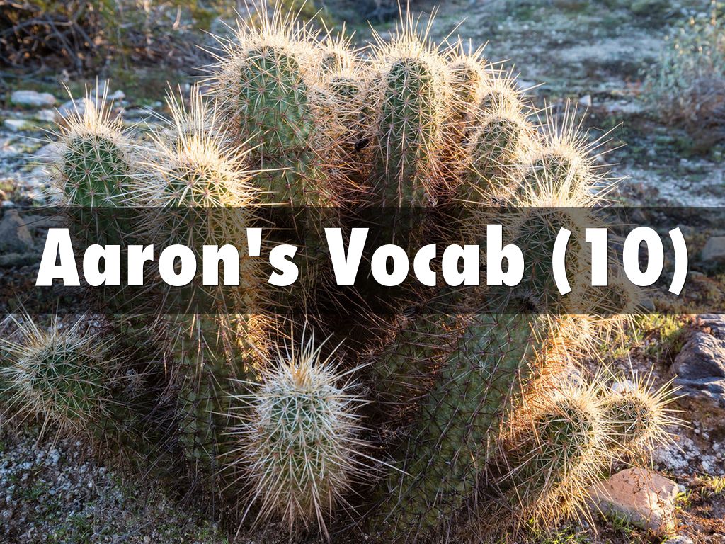 Aaron's Vocab (10)