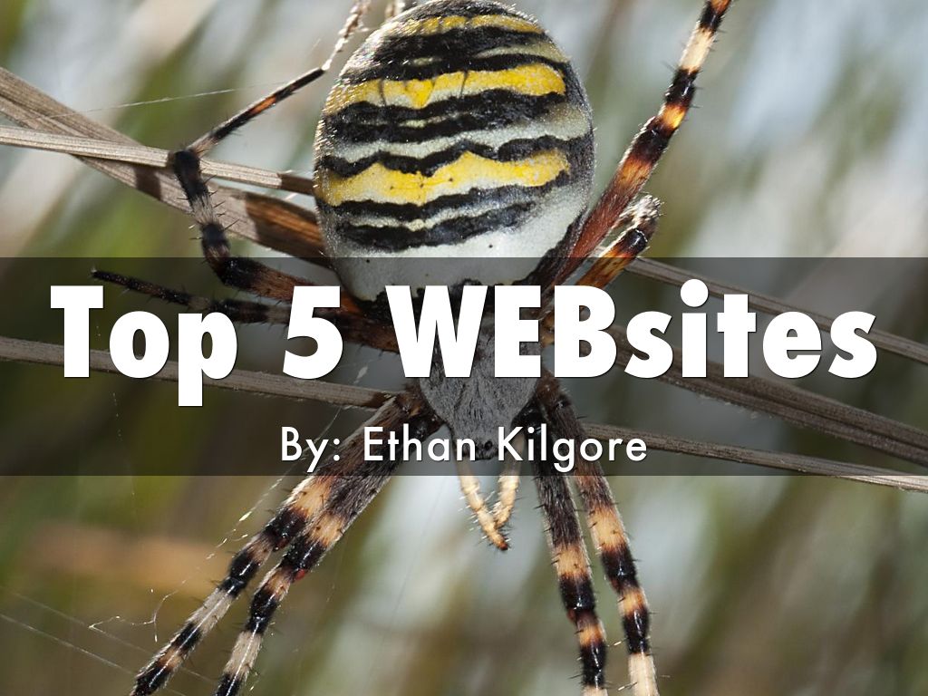 Top 5 Websites