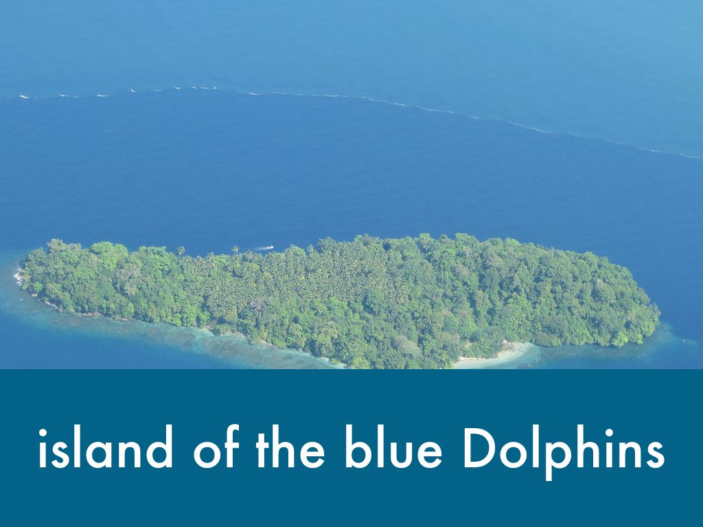 Island Of The Blue Dolphins By Ryder 