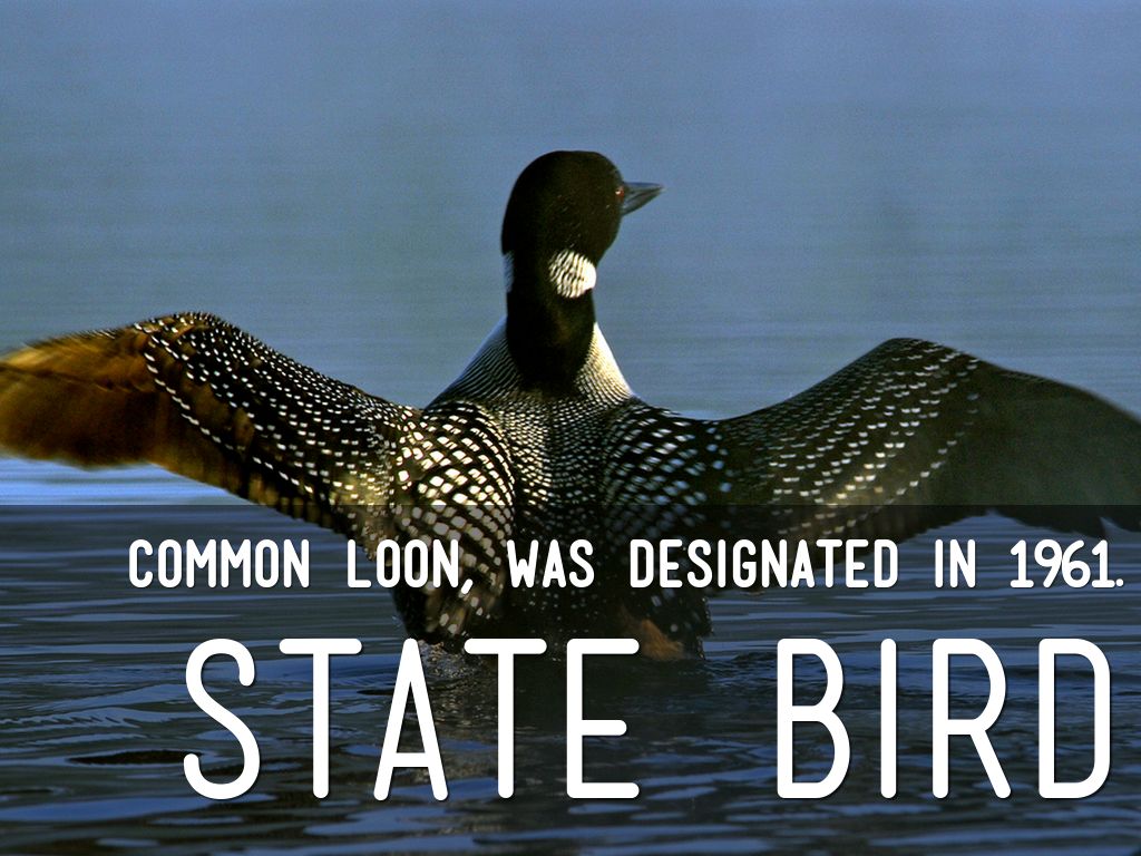 Minnesota Official State Symbols