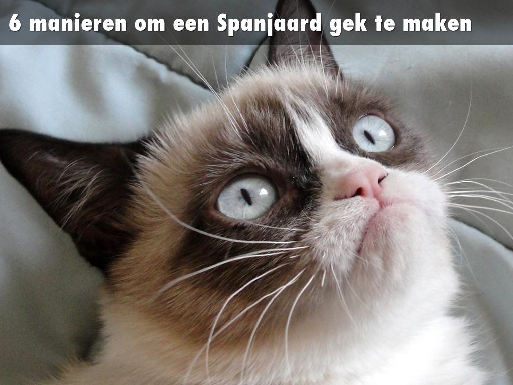 6 manieren om een Spanjaard gek te maken