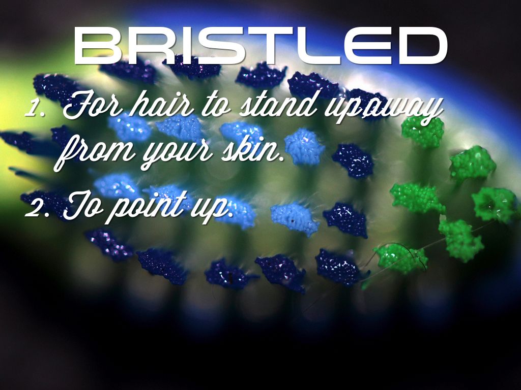 Amber From The Mountain