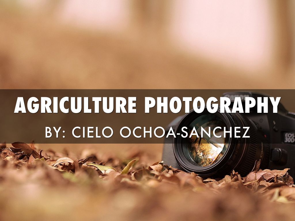 Agriculture Photography