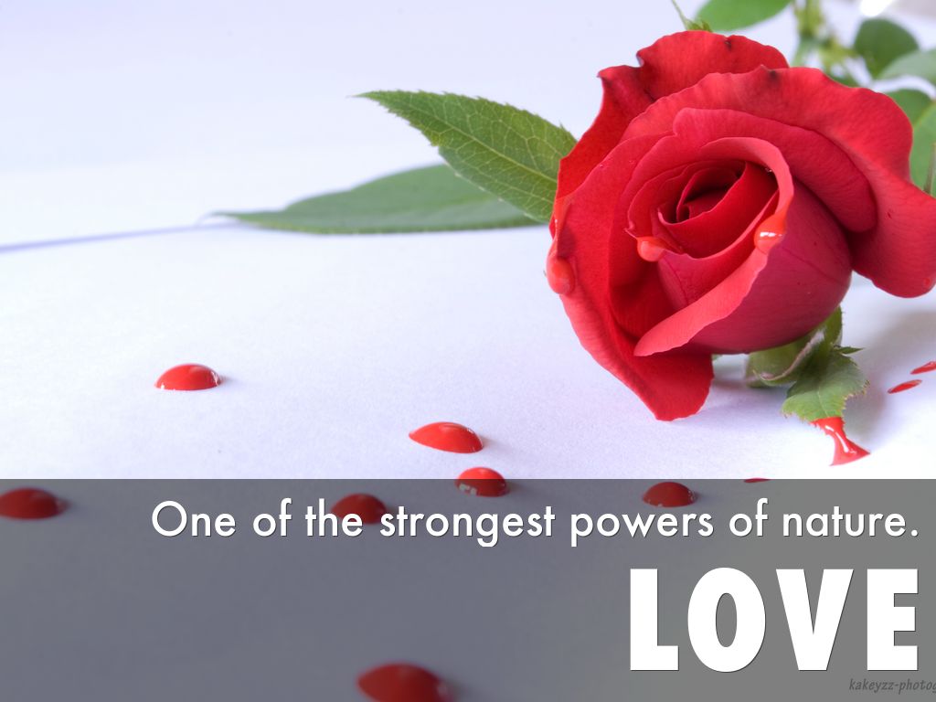 The greatest things on Earth