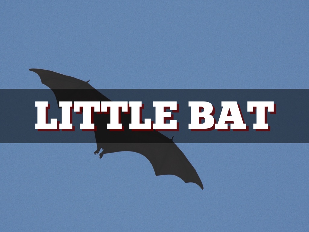 Little Bat