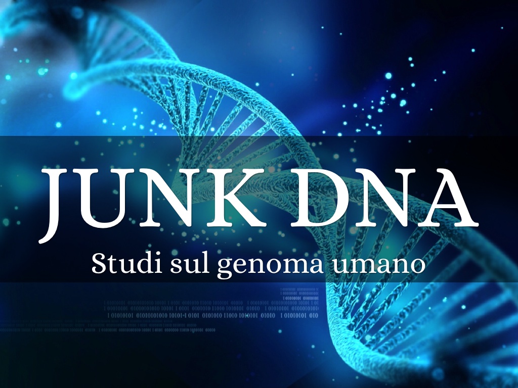 ALTRO CHE SPAZZATURA! 