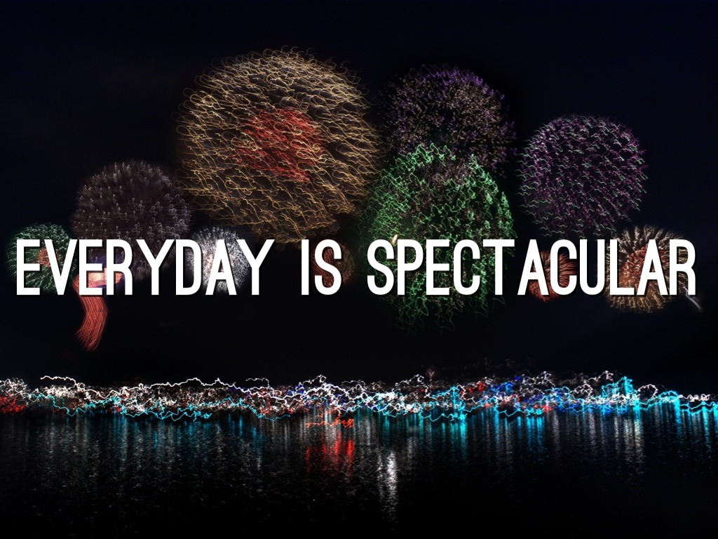 Everyday Is Spectacular