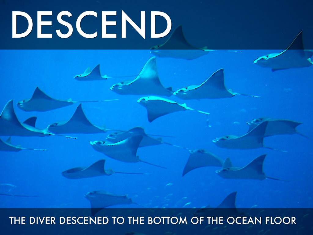 Vocabulary By Jackie Suddith