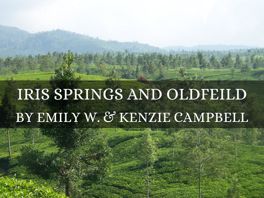 Iris Springs&Oldfield