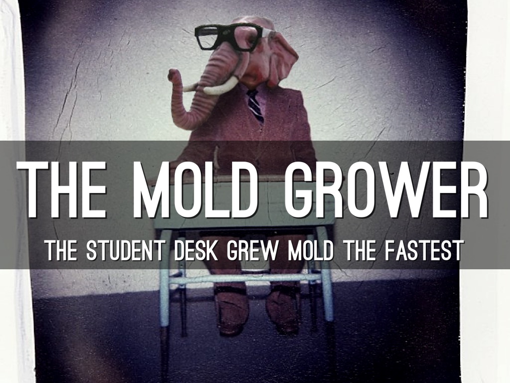 Copy of JB's Mold by Kiki Odell