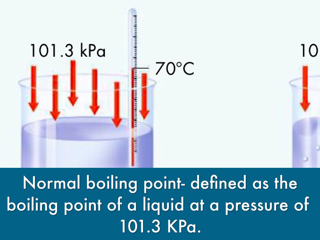 13.2 by Carley Baker