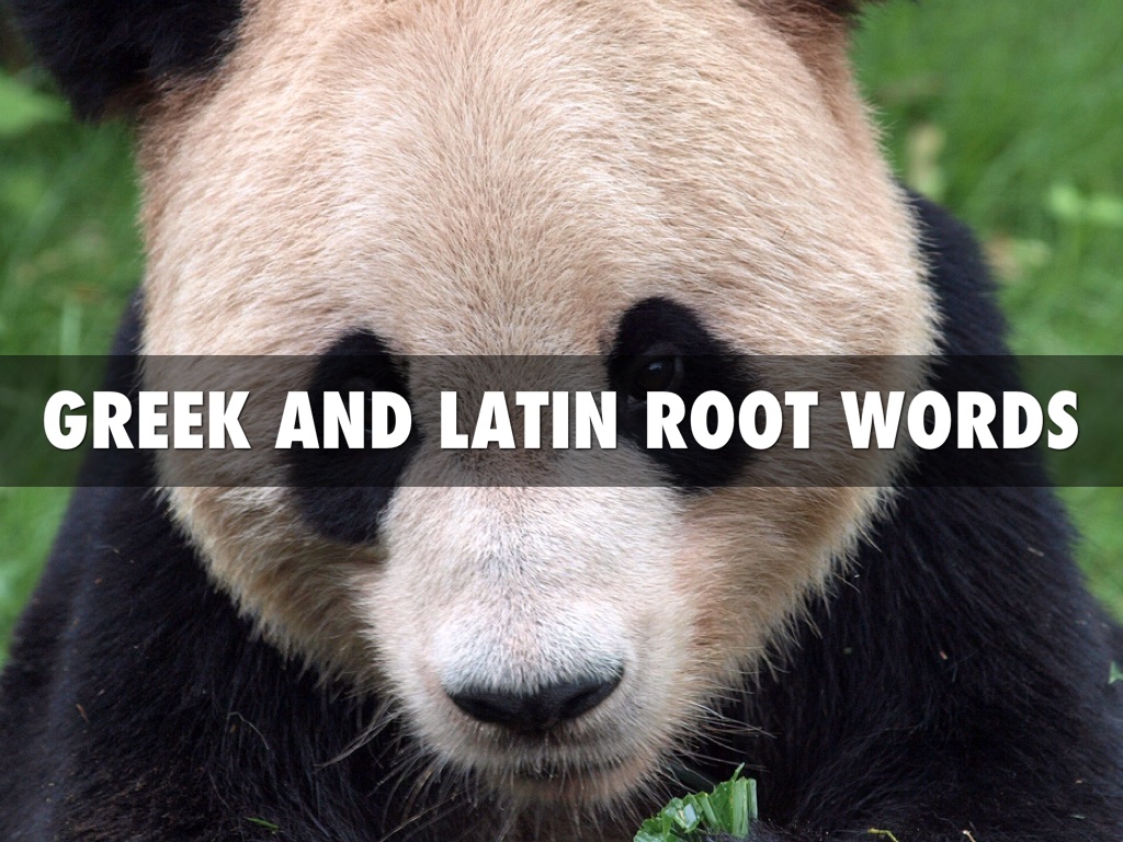 Latin And Greek Roots