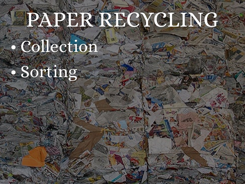 The Negatives Of Recycling by Sarah Maul