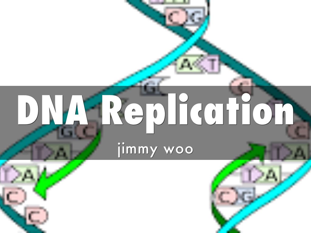 Copy of DNA Replication