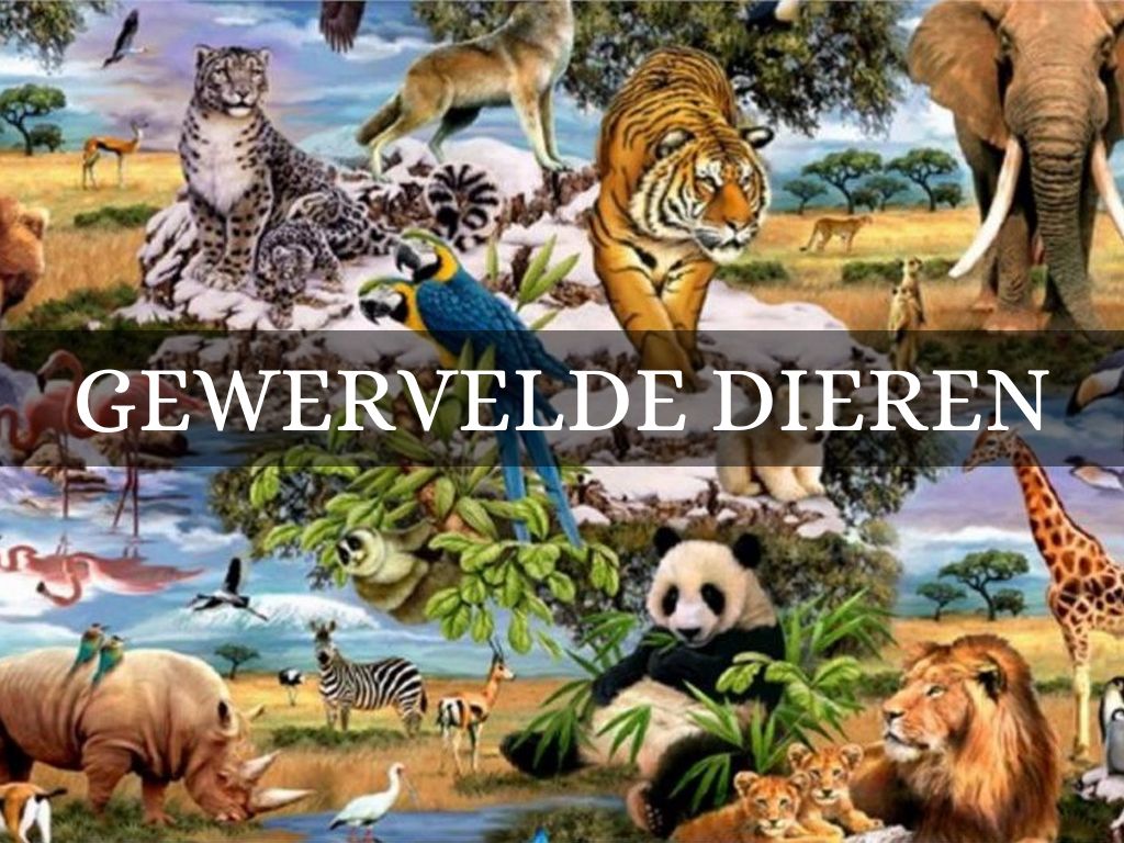 Gewervelde dieren