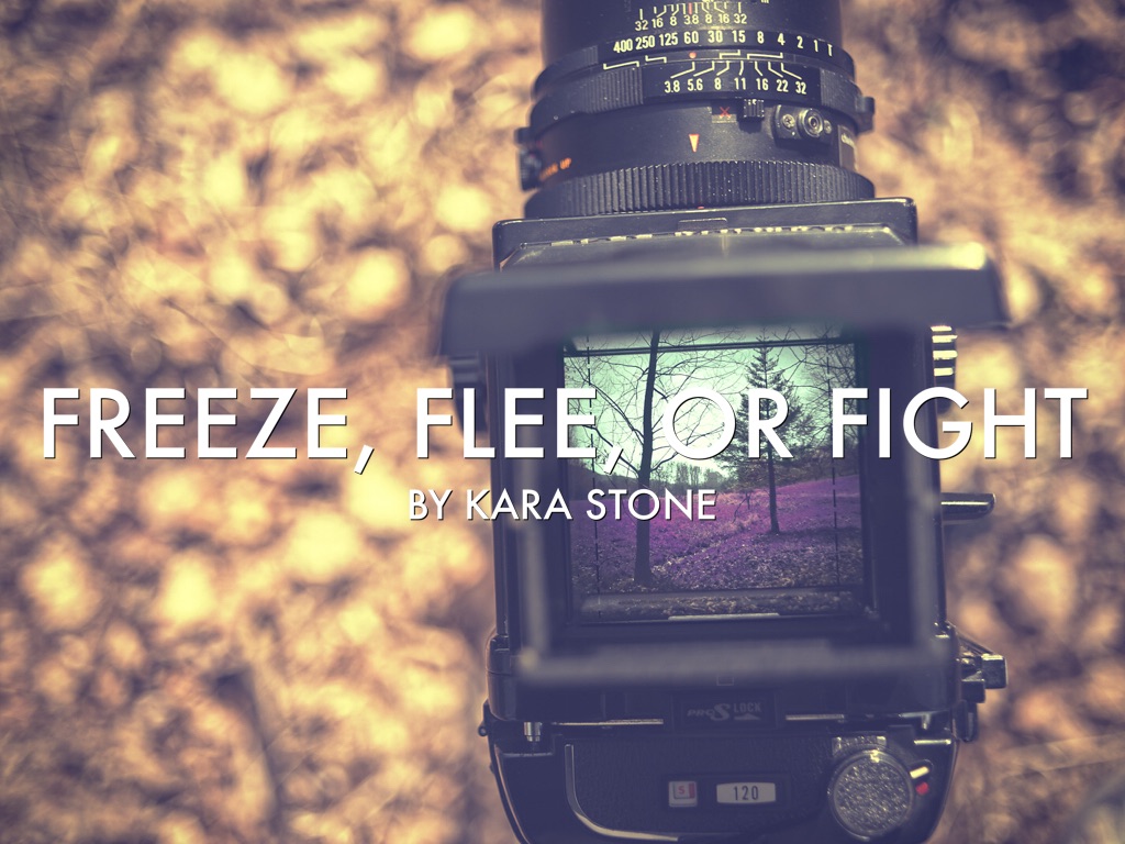 freeze, flee, or fight assignment by Kara Stone