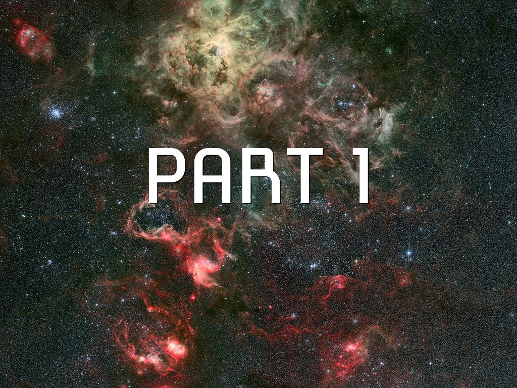 The Digestive System 