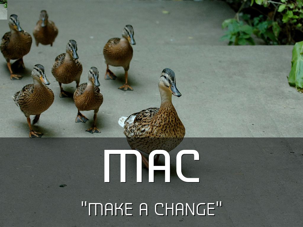 MAC