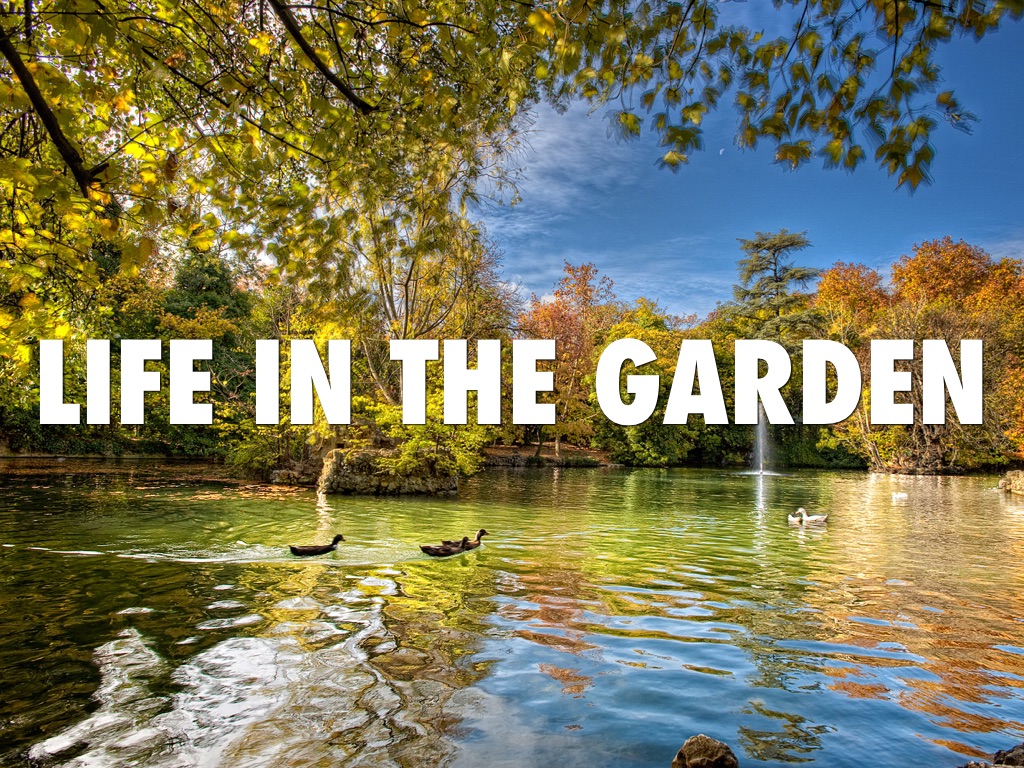 Life In The Garden.