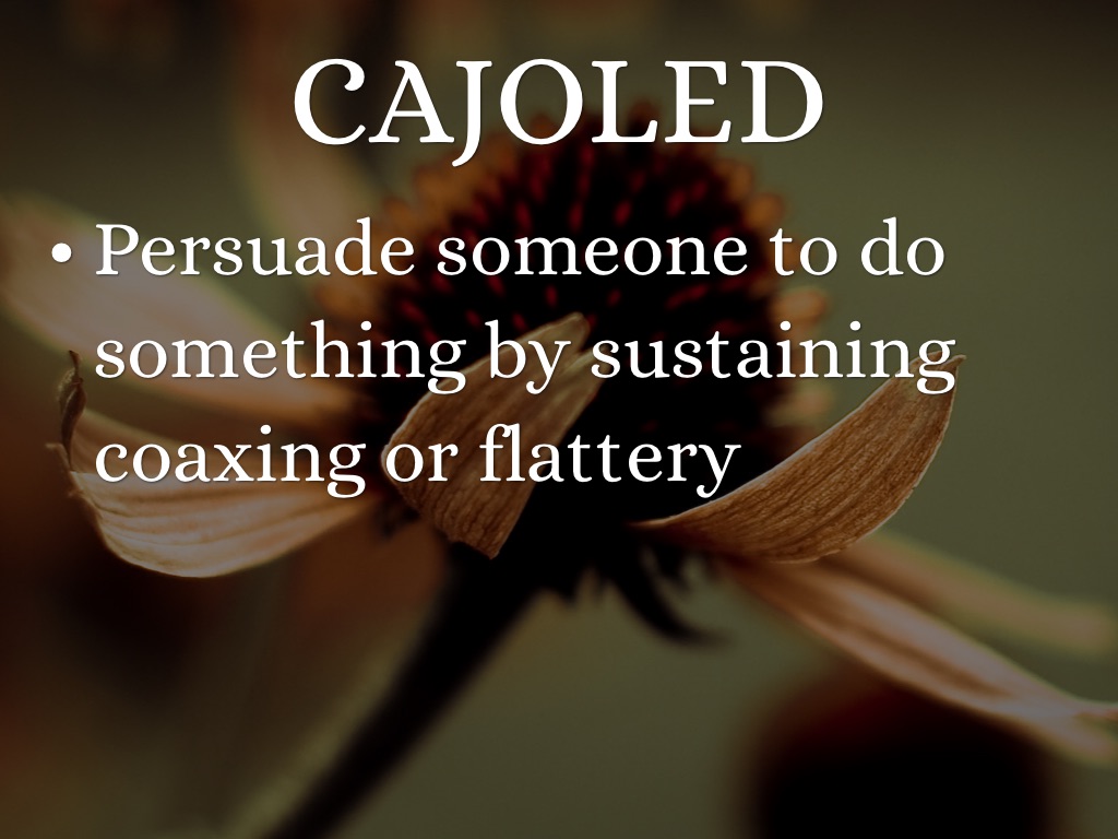 Cajoling Example The Game Vocab by hannah.rehman19