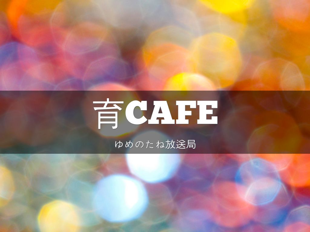 Startup Pitch Template のコピー