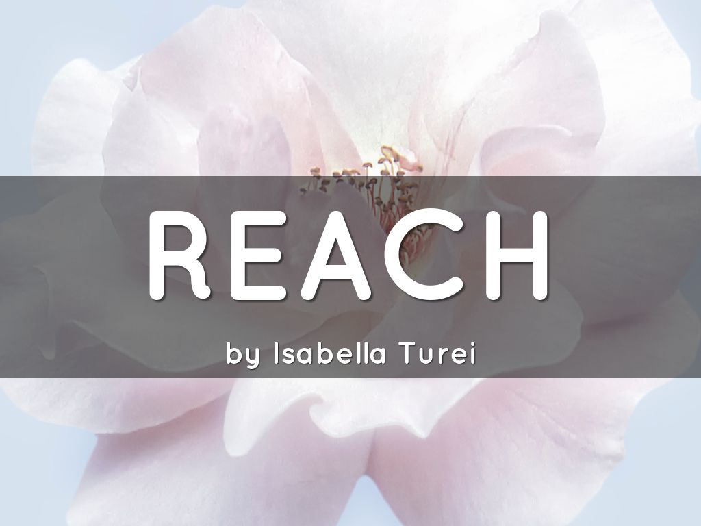 REACH