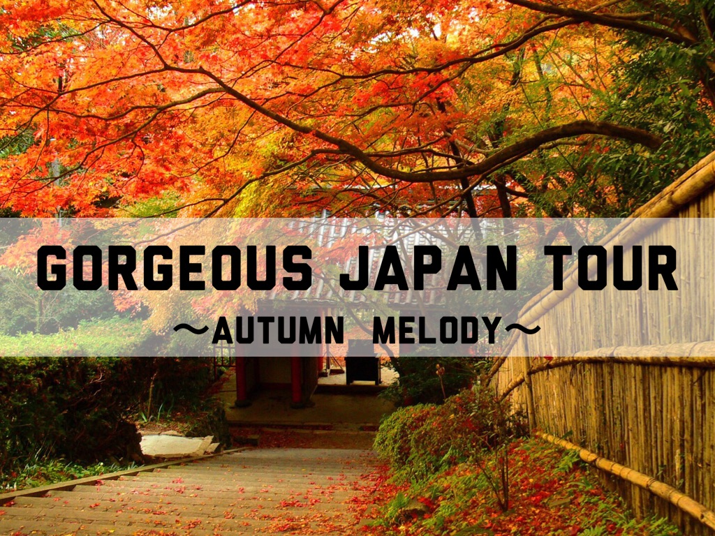 Copy of Tour Plan☆