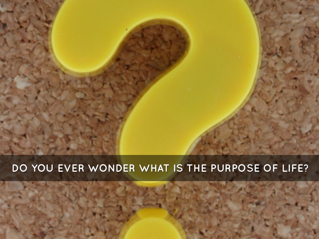 Barbara Grace Reynolds