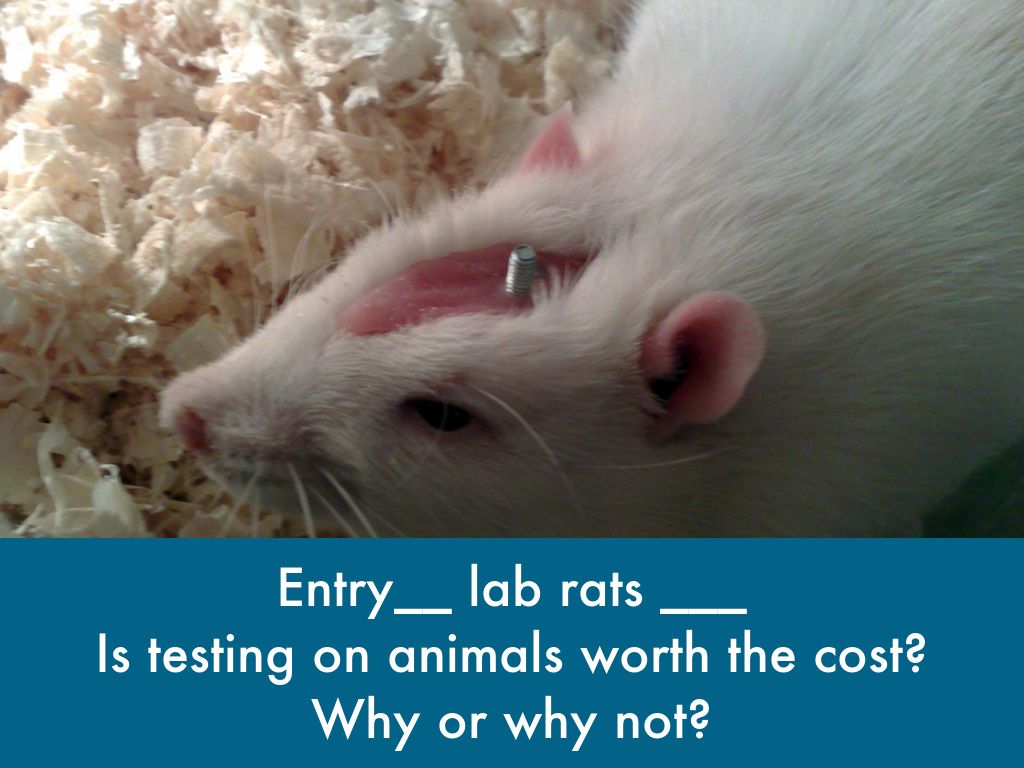 Animal testing pathos picture