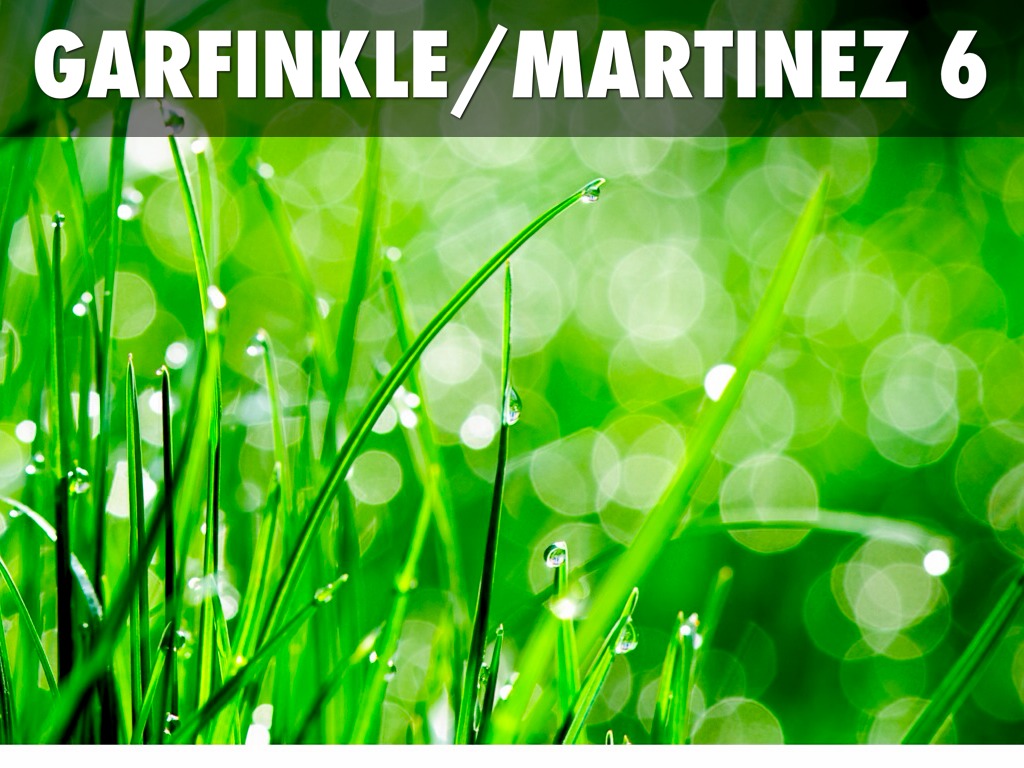 Garfinkle/Martinez 6
