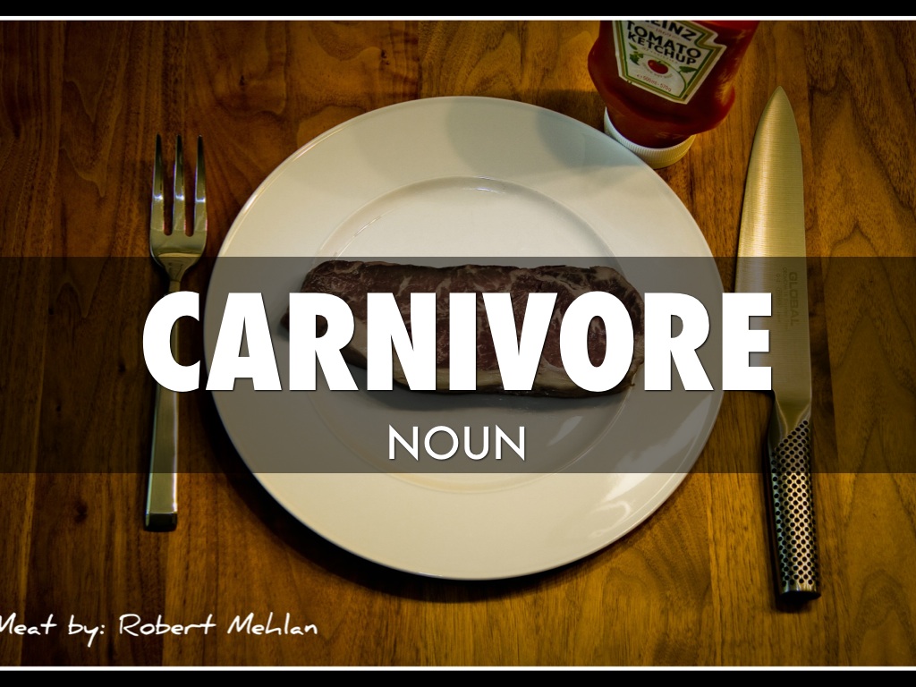 Carnivore