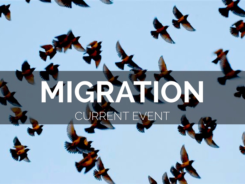 Current Event Migration