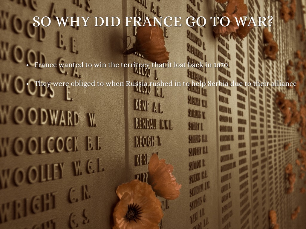 Why Did France Go To War by Emily Galvin