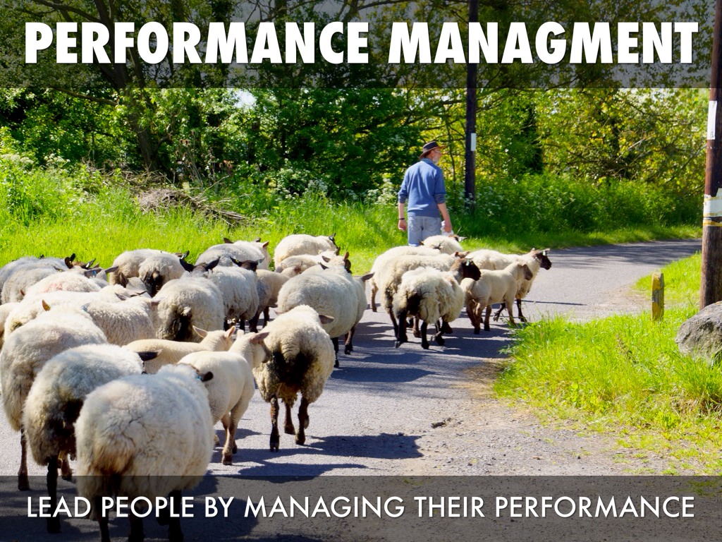 Performance Managment