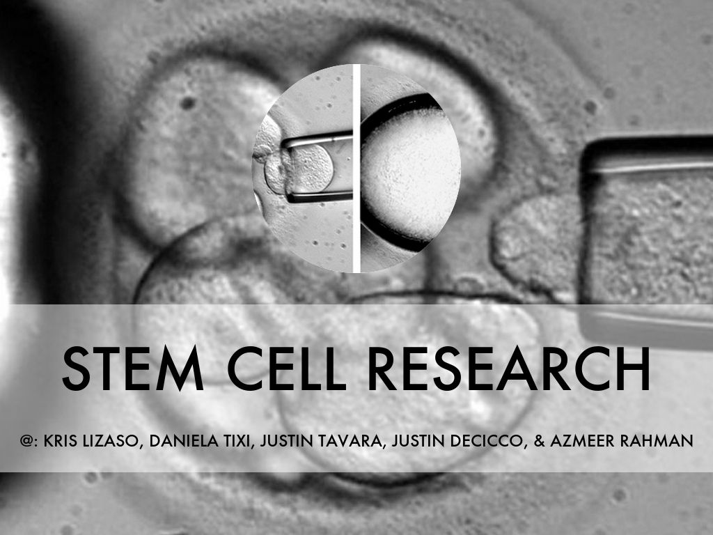 Stem Cell Research