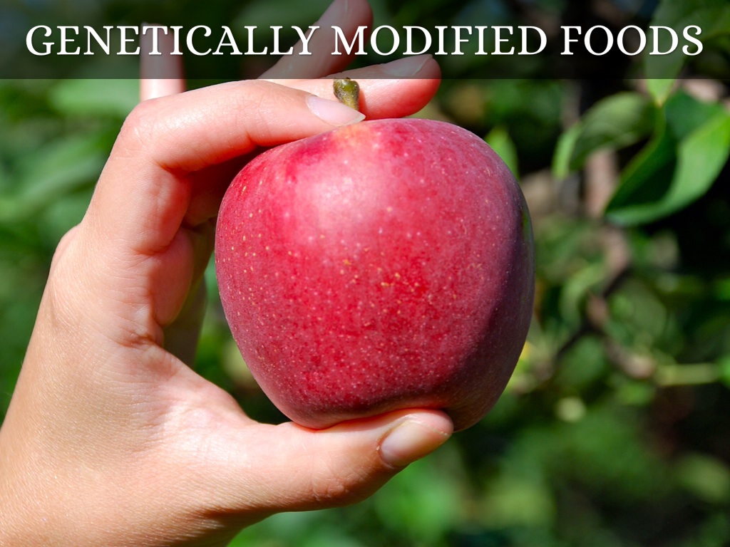 Genetically Modified Foods