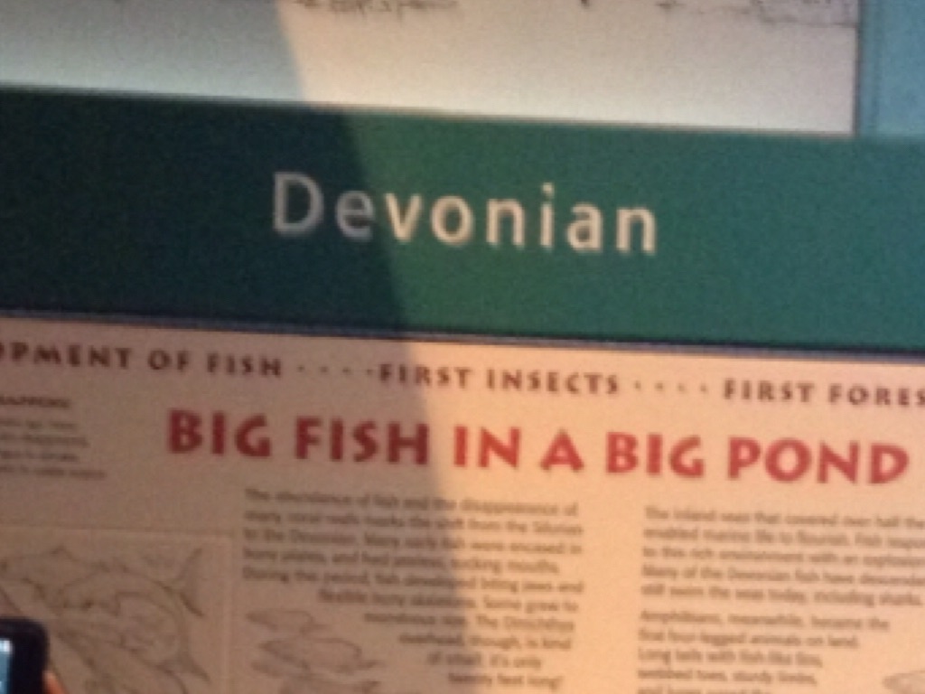 Publice Museum Field Trip