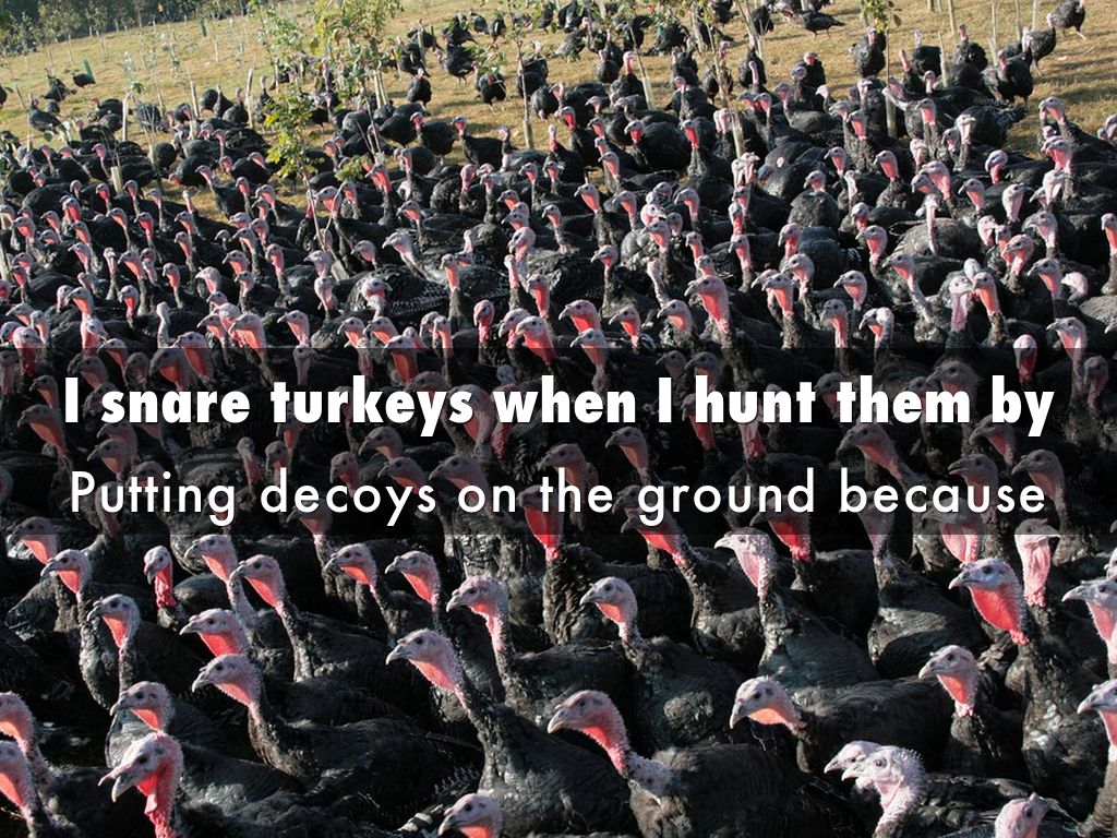 Turkey Huntin'