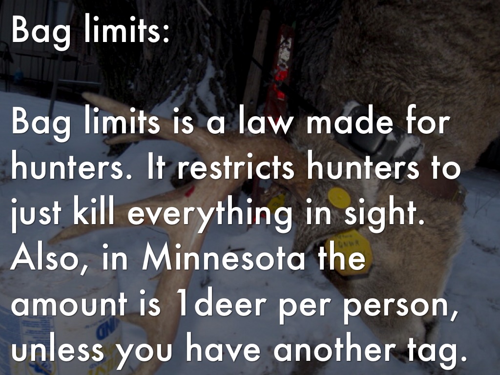 Hunting Info by Jazmine Lindquist